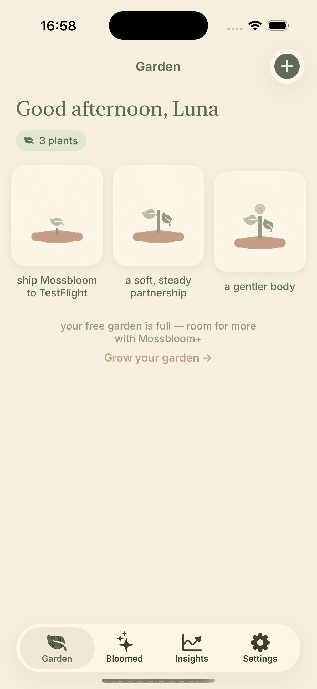 The Mossbloom home garden, showing tended intentions in different growth stages.